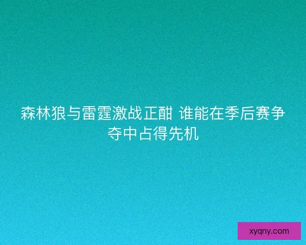 森林狼与雷霆激战正酣 谁能在季后赛争夺中占得先机