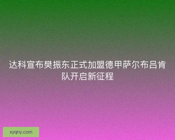 达科宣布樊振东正式加盟德甲萨尔布吕肯队开启新征程