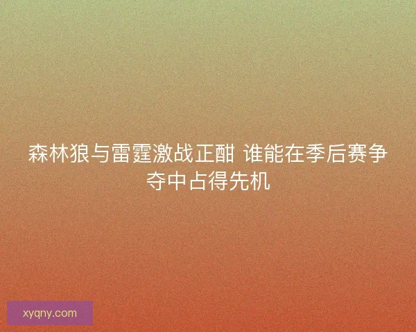 森林狼与雷霆激战正酣 谁能在季后赛争夺中占得先机