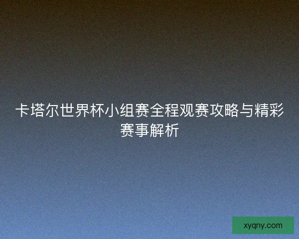 卡塔尔世界杯小组赛全程观赛攻略与精彩赛事解析